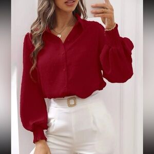 Luxe Swiss dot lantern sleeve button down blouse